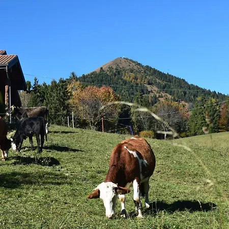 Bed & Breakfast Cinque Abeti Agrialloggio Mountain Iseo Hospitality *