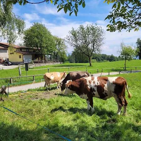 Cinque Abeti Agrialloggio Mountain Iseo Hospitality Отель типа 